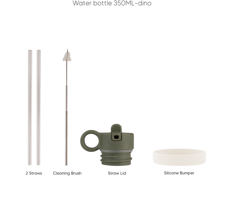 CITRON Water Bottle 350 ml - Dino