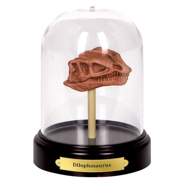 Dilophosaurus, Dinosaur Skull ΑΝΑΣΚΑΦΗ Set - T-Rex World