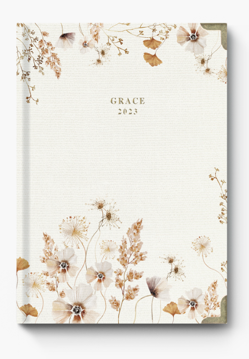 ADBOOK GRACE ΗΜΕΡΗΣΙΟ ΗΜΕΡΟΛΟΓΙΟ 2024 17×25