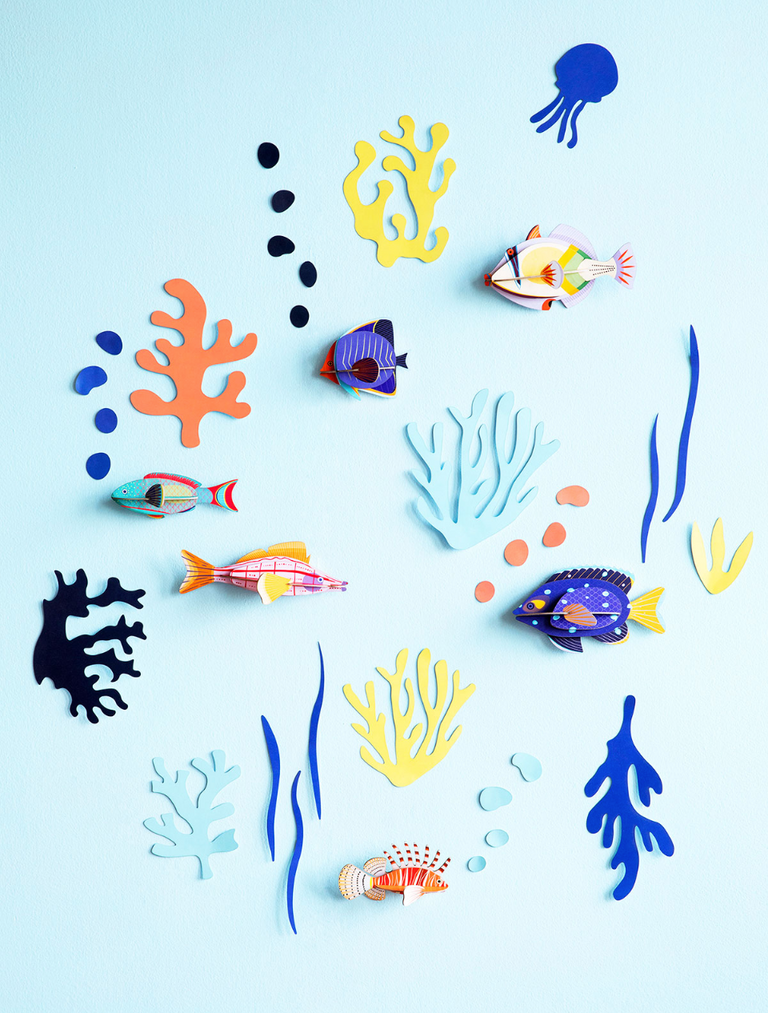 ΧΑΡΤΟΚΑΤΑΣΚΕΥΗ STUDIO ROOF wall of curiosities, fish hobbyist
